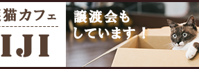 保護猫カフェのバナー